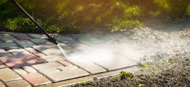 Best Roof Washing  in Baxter, MN